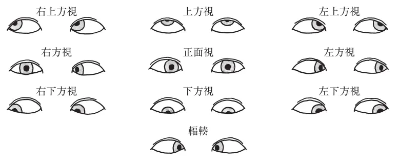 対座法で観察した眼球運動